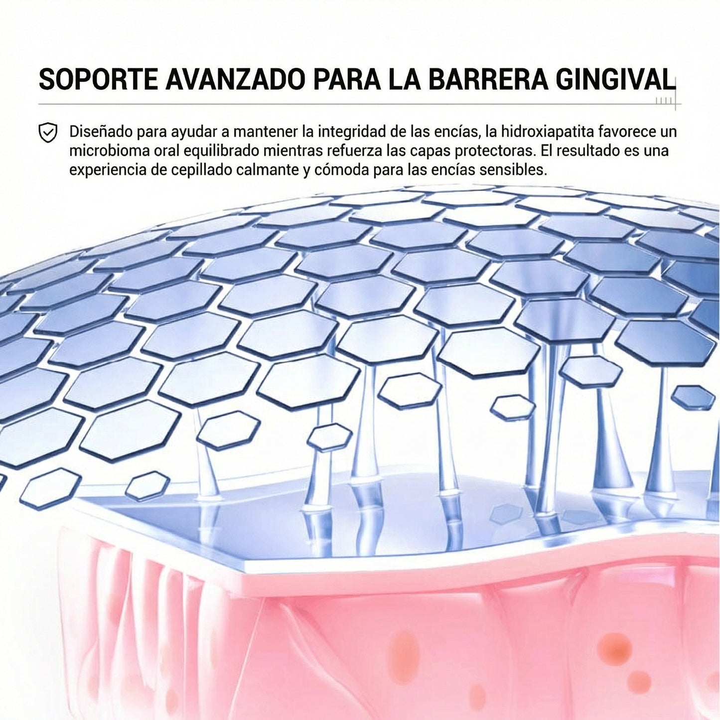 Orelvie™ Pasta Dental de Hidroxiapatita